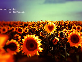 网页在线DDOS压力测试